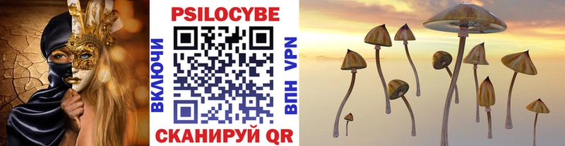 Купить  Северск  Галлюциногенные грибы GOLDEN TEACHER 